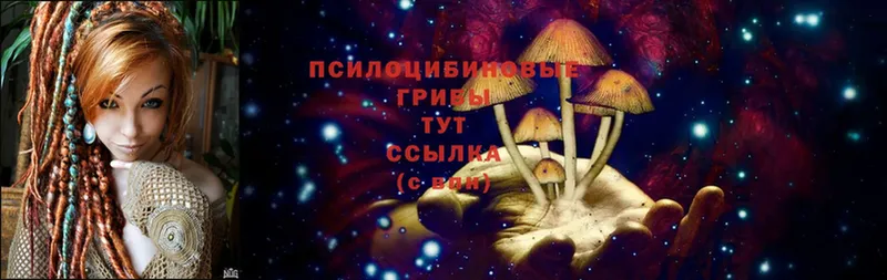 Галлюциногенные грибы Psilocybe Алушта